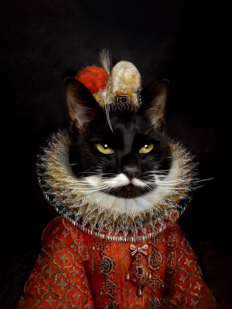 Lady Socks Cat Pet Portraits