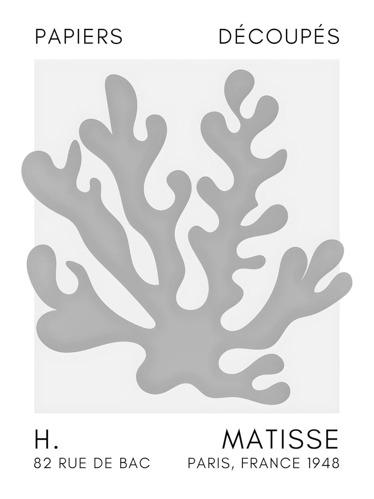 Matisse 41