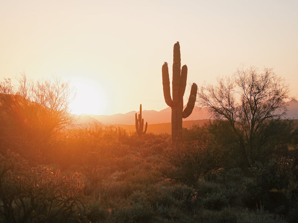 Warm Desert Sunset