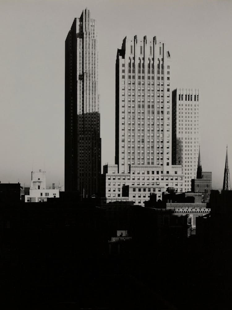 New York from the Shelton