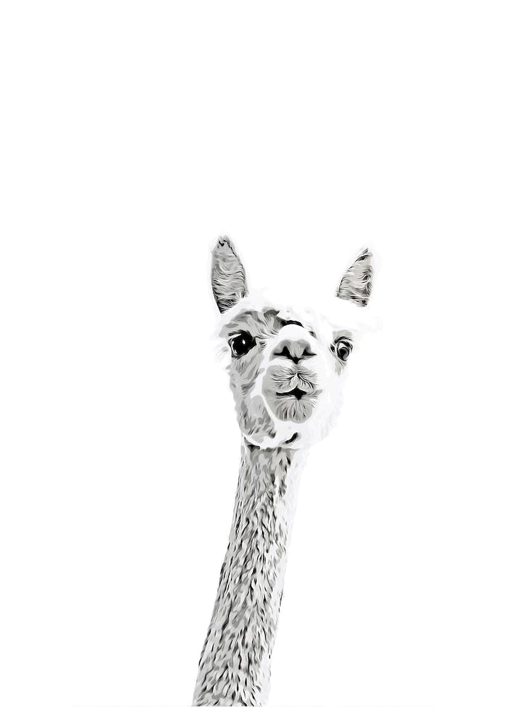 Cute Alpaca Watercolor