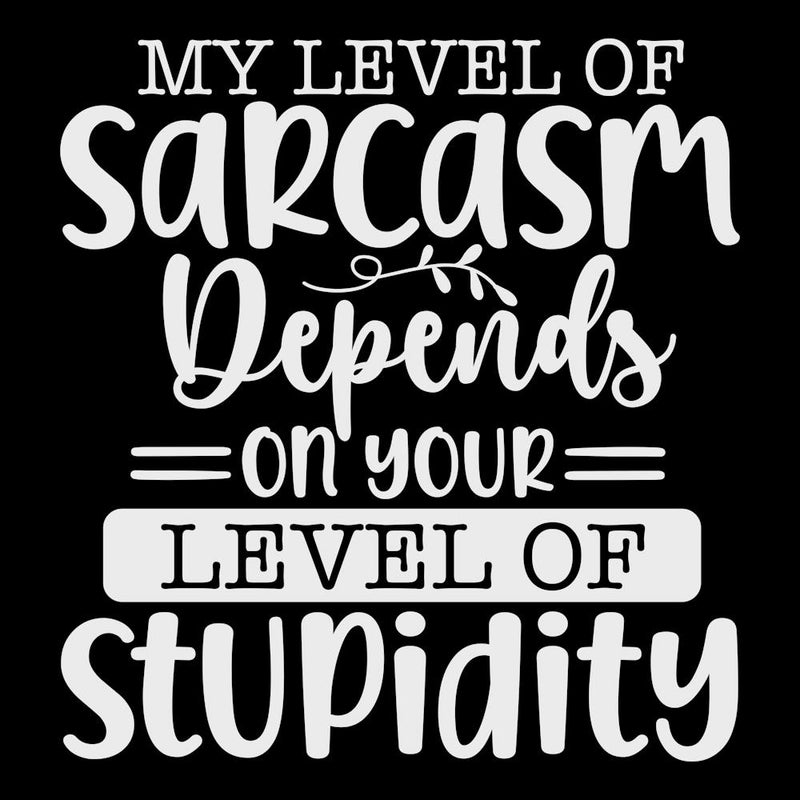 my Level Of Sarcasm Depends On Your Level Of Stupidity 2