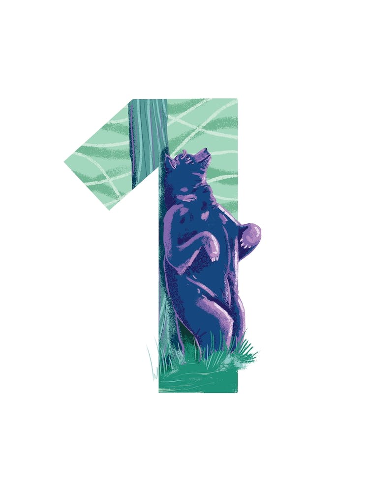 1 Bear