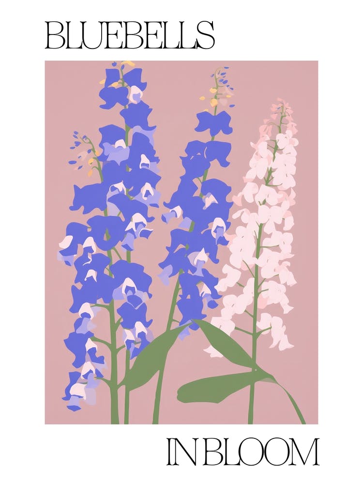 Bluebells In Bloom Flowers Bold Illustration 3