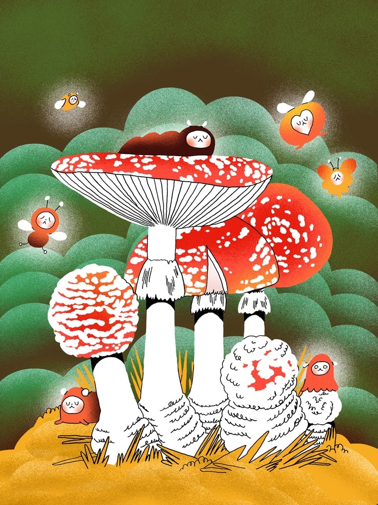 Fly Agaric
