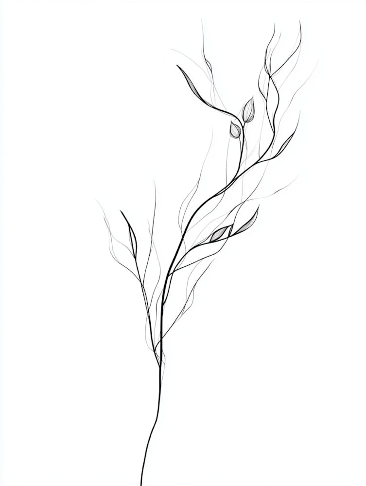 Lily Of The Valley 13