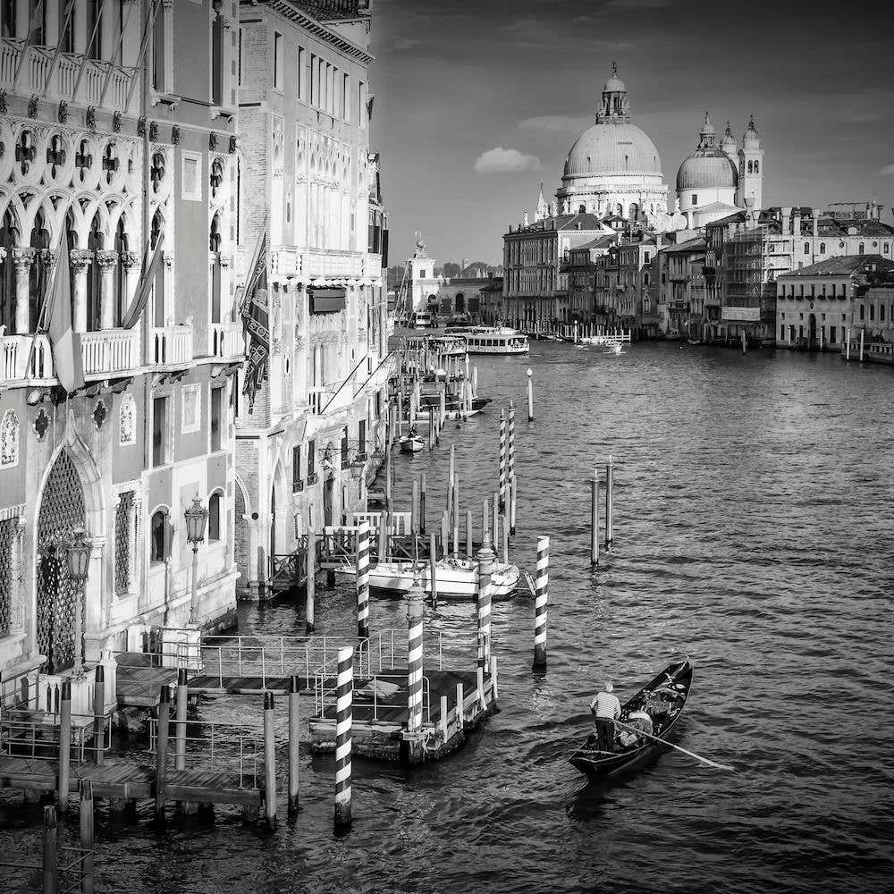 Venice Canal Grande & Santa Maria della Salute