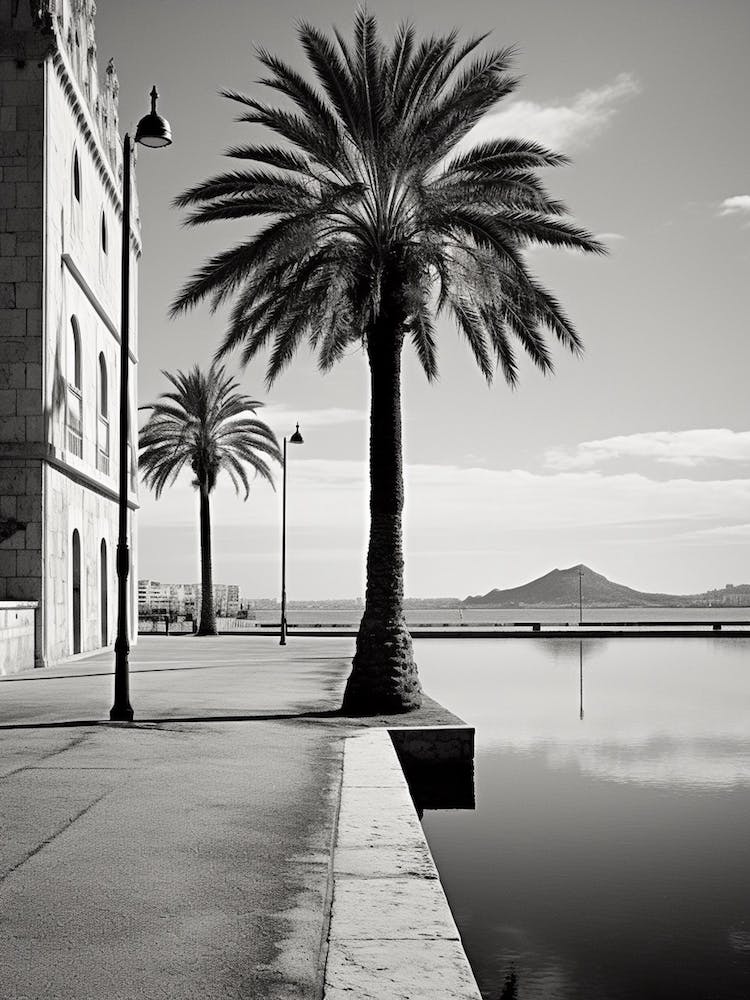 Palma De Mallorca, Spain, Black And White Analogue Photography 1