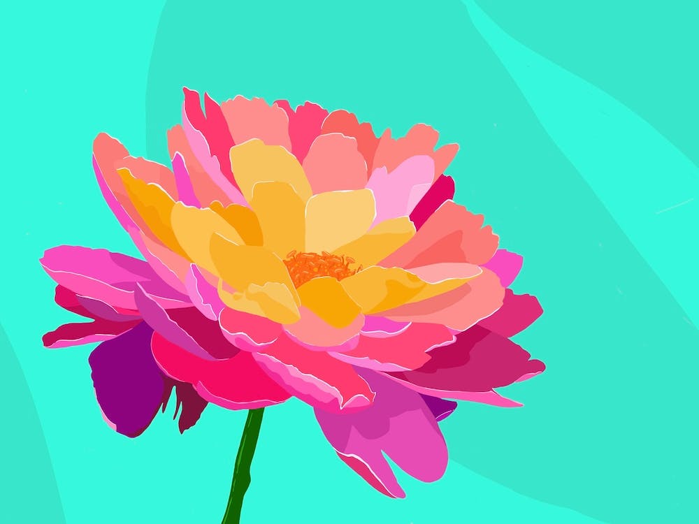 Flower Power - Peony