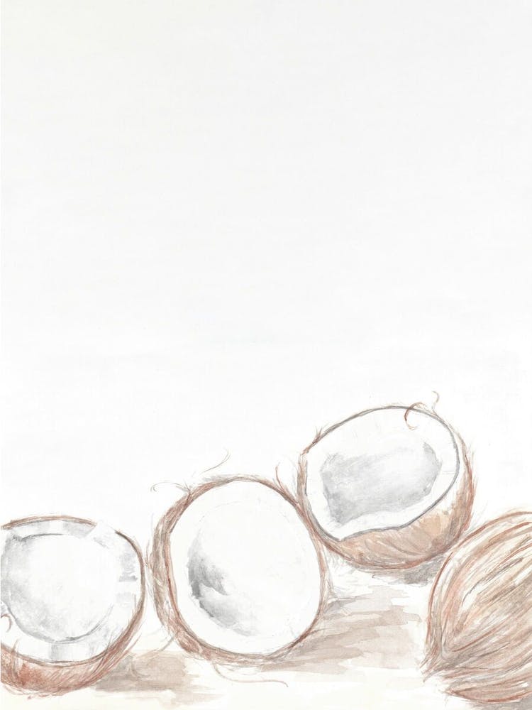 Watercolour 4 Coconuts
