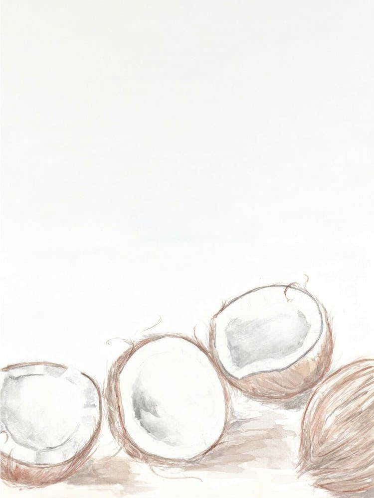 Watercolour 4 Coconuts