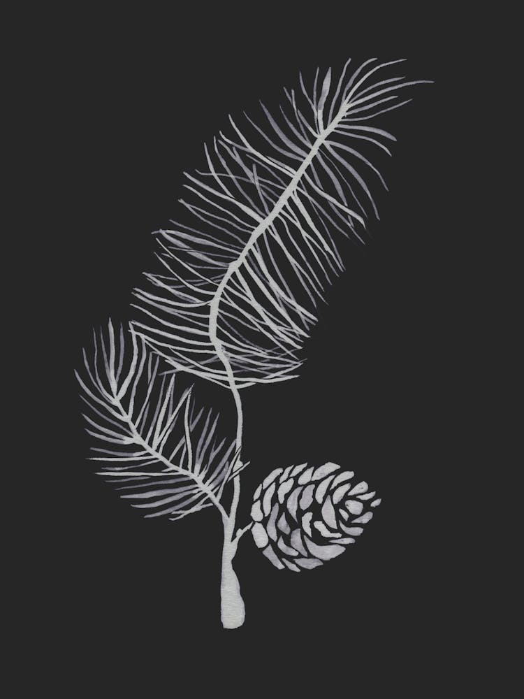 Pine Cones