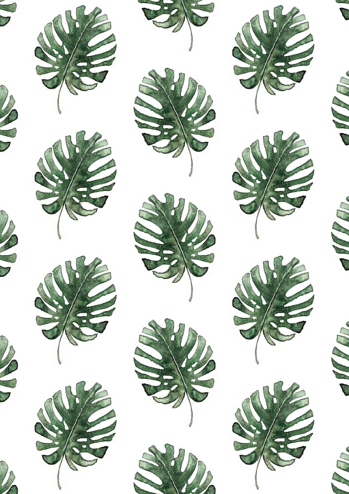 Monstera Leaf Pattern