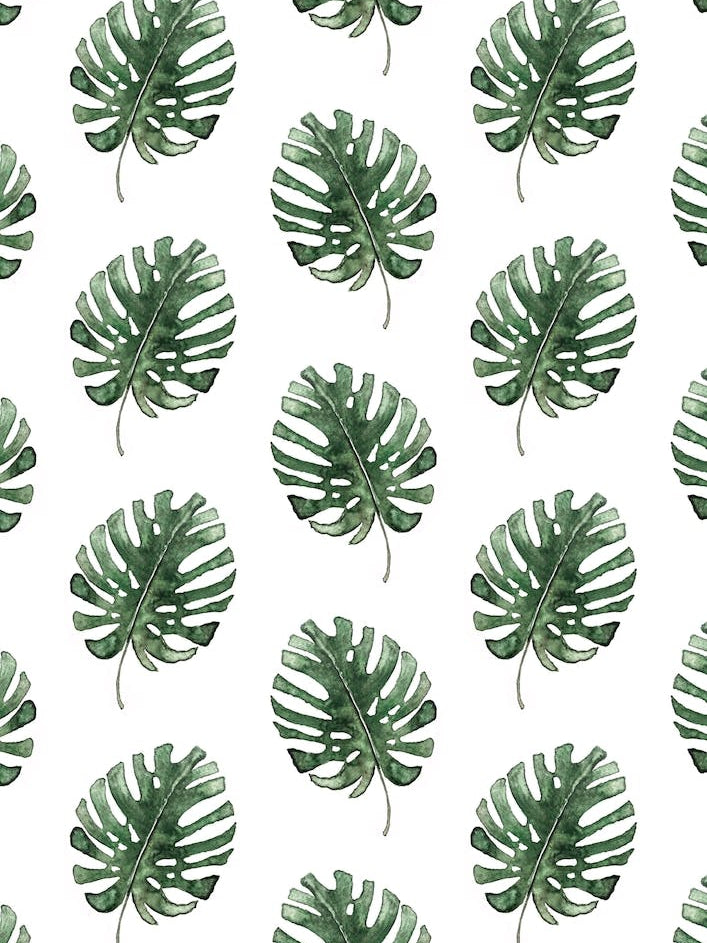 Monstera Leaf Pattern