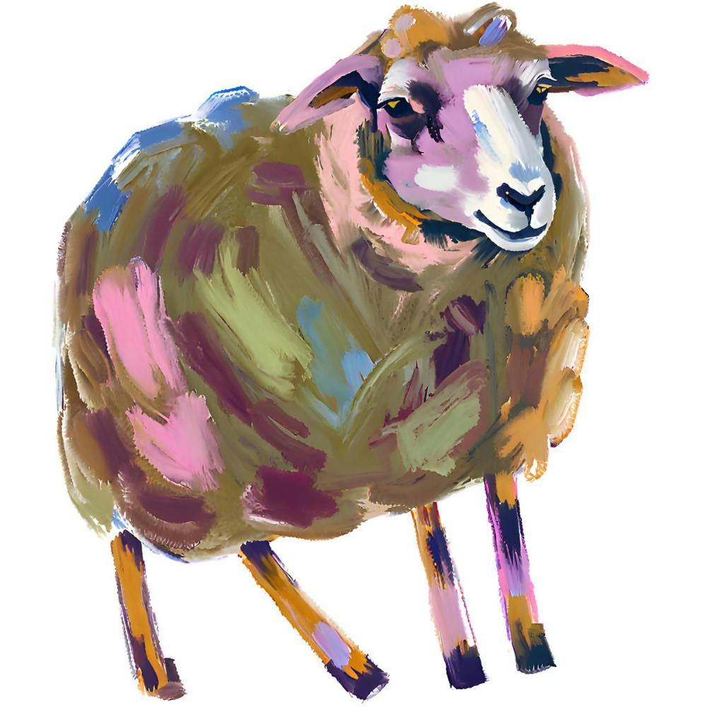 Merino Sheep 02