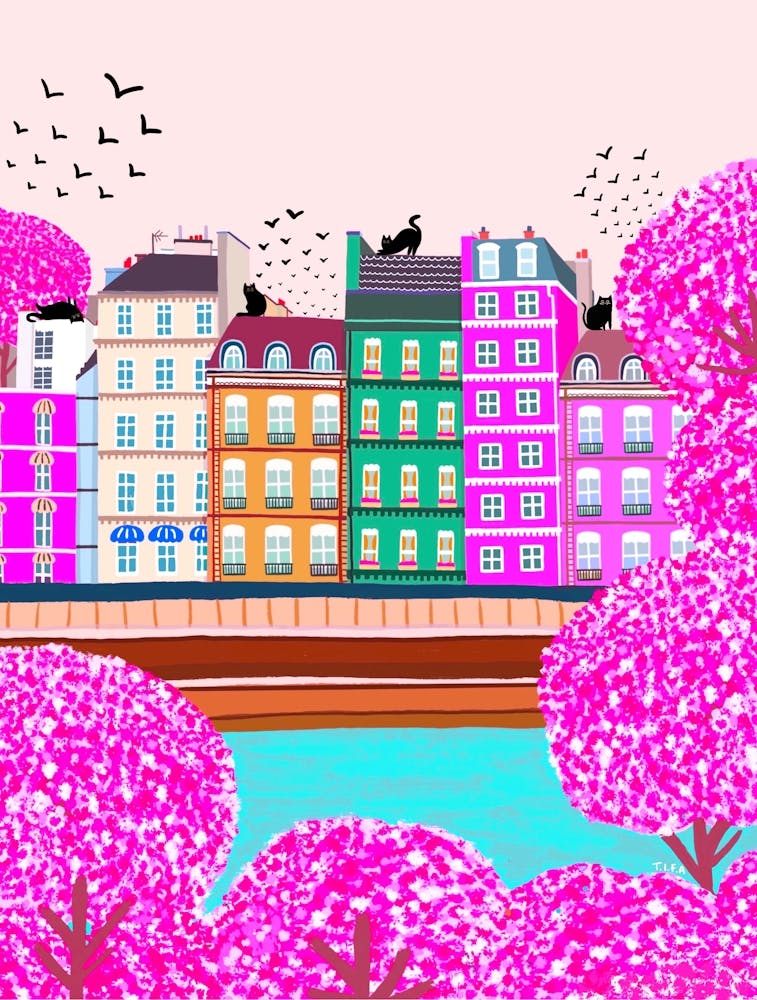 Cats In Paris