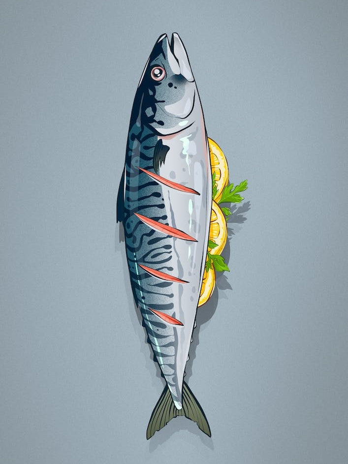 Mackerel