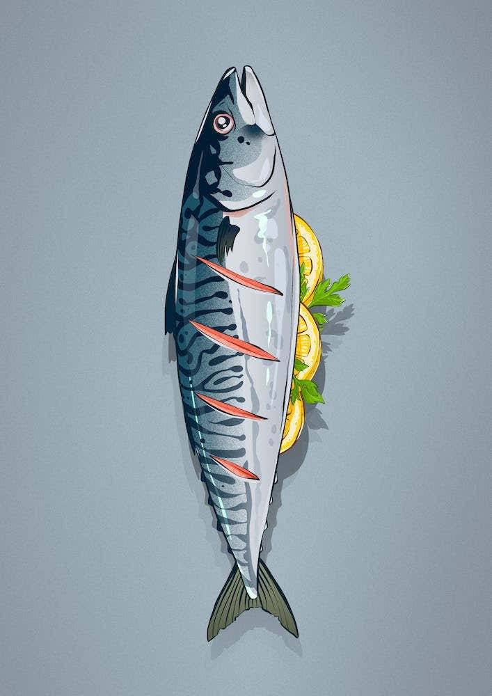 Mackerel