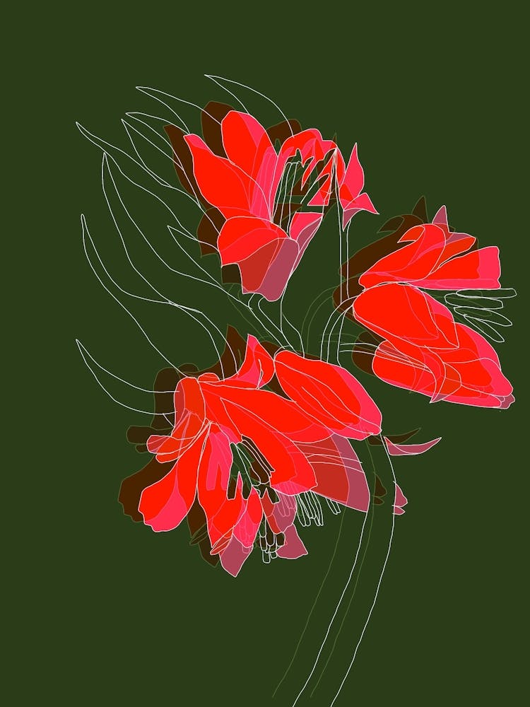 Red Lilies
