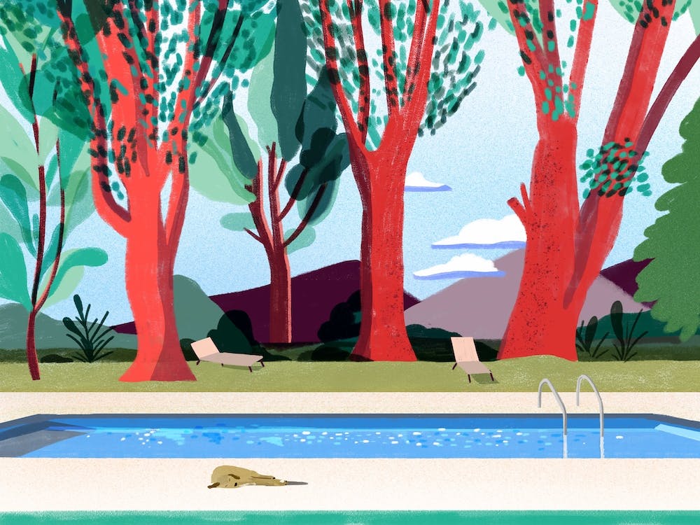 Au bord de la piscine