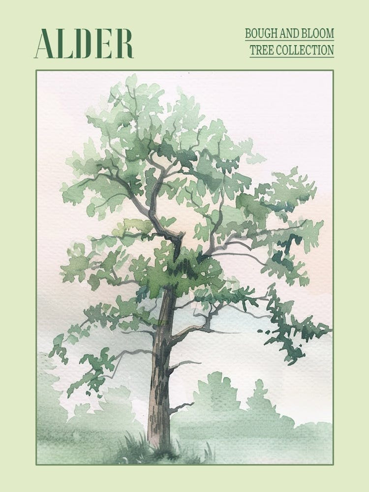 Alder Tree Atmospheric Watercolour Painting 3 Poster