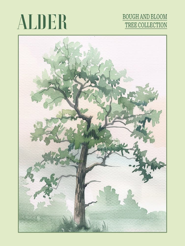 Alder Tree Atmospheric Watercolour Painting 3 Poster