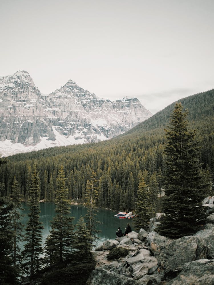 Mountain Forest Scenery
