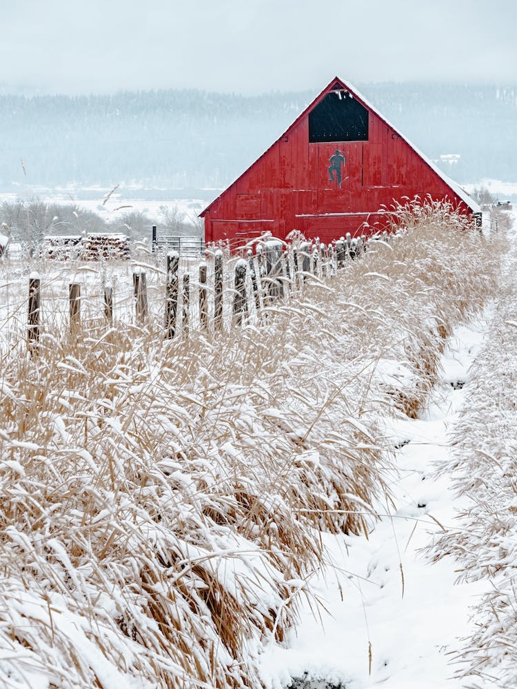 Red Winter Barn