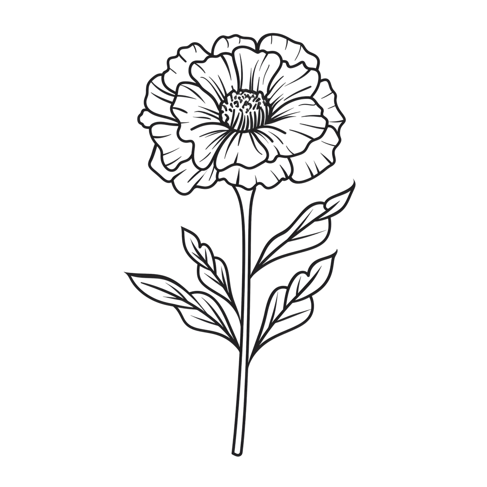 Marigold October Birth Month Flower 1