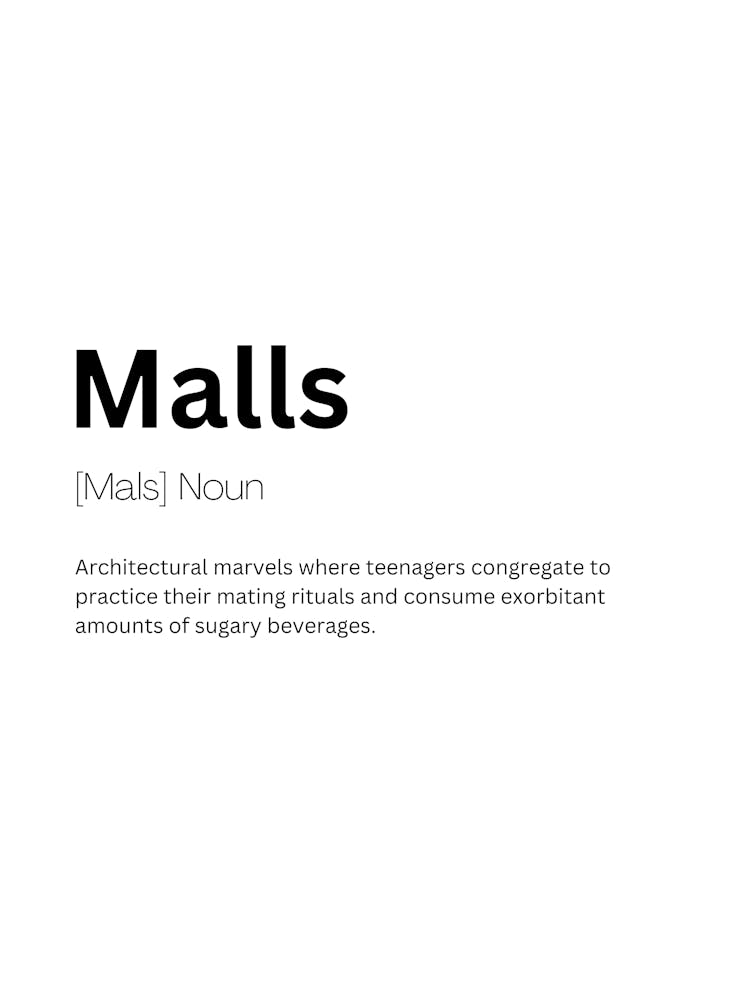 Malls Definition Meaning