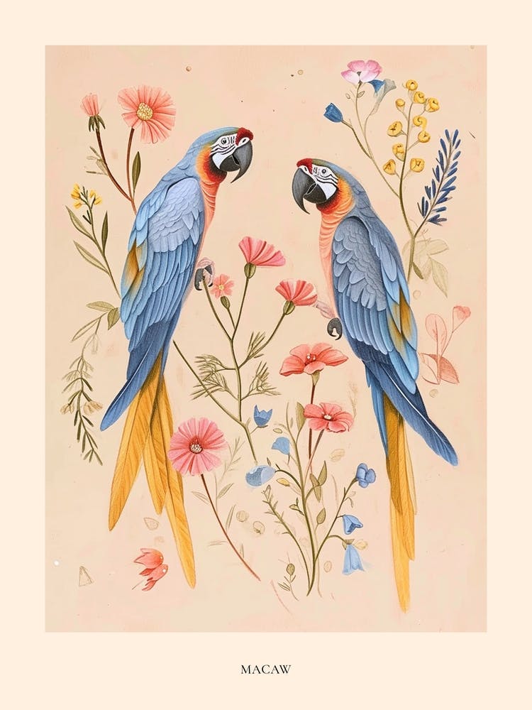 Folksy Floral Animal Drawing Macaw Poster
