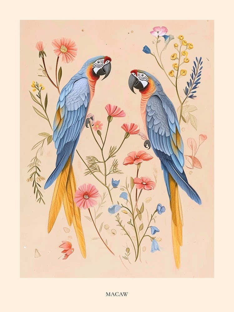 Folksy Floral Animal Drawing Macaw Poster