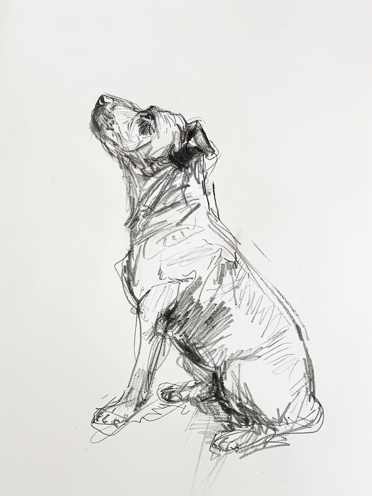 Minimalist Dog Charcoal Line