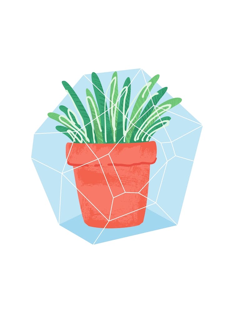 Potted Plant #2