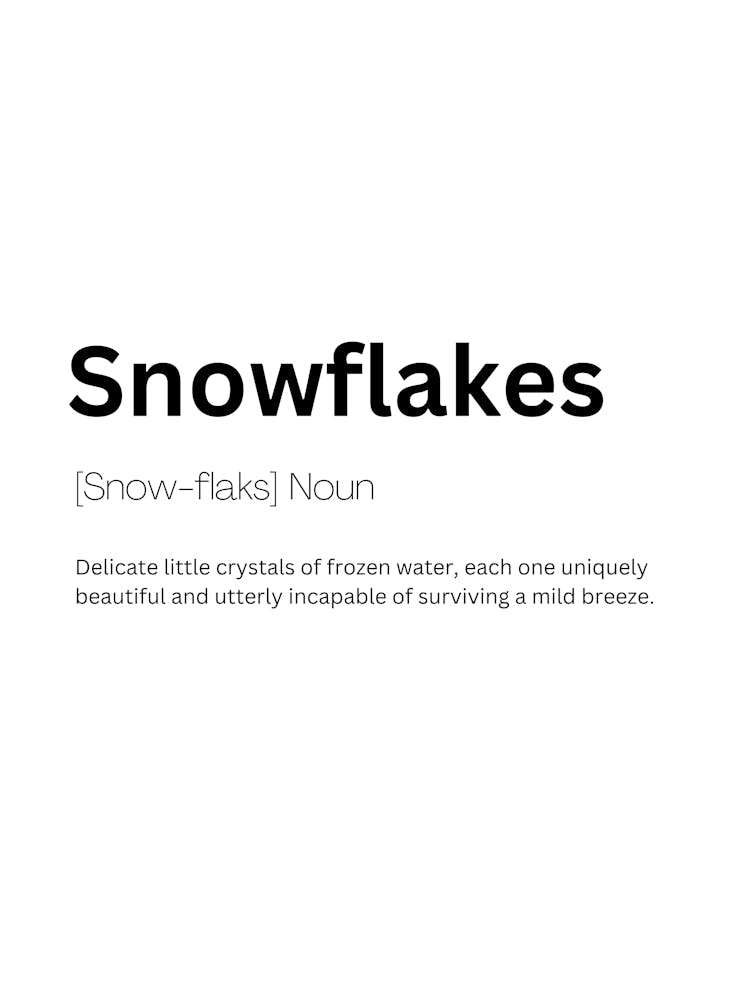 Snowflakes Definition Meaning