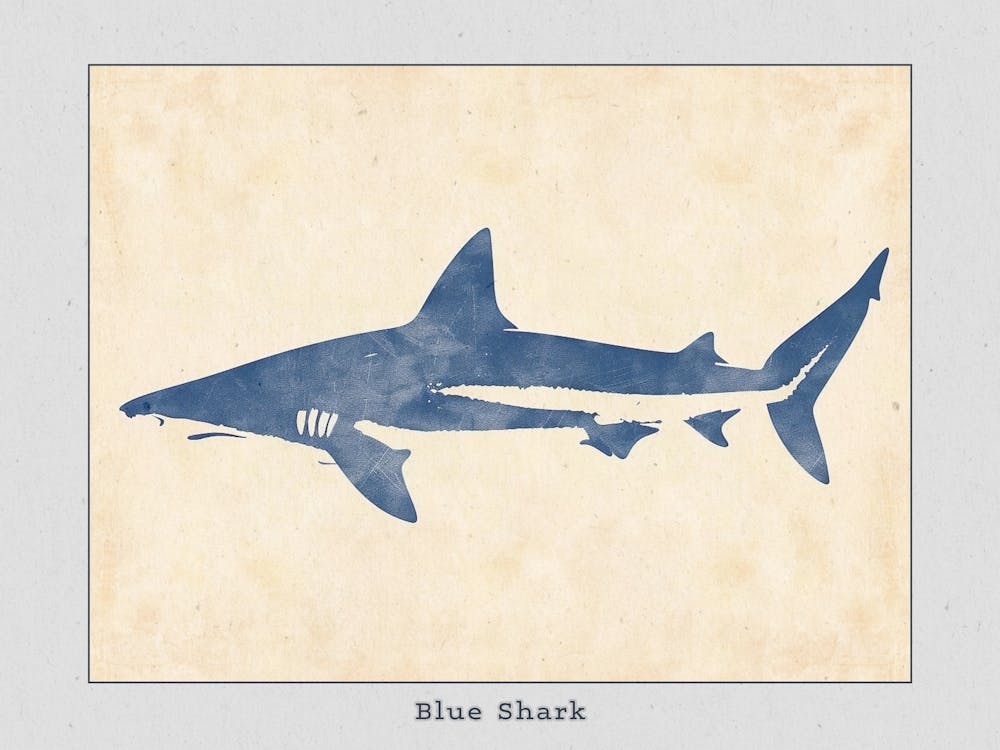 Blue Shark Grey Silhouette 5 Poster