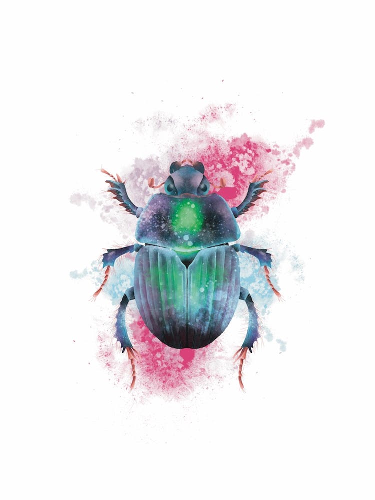 Space Pink, Green and Blue Watercolour Beetle print
