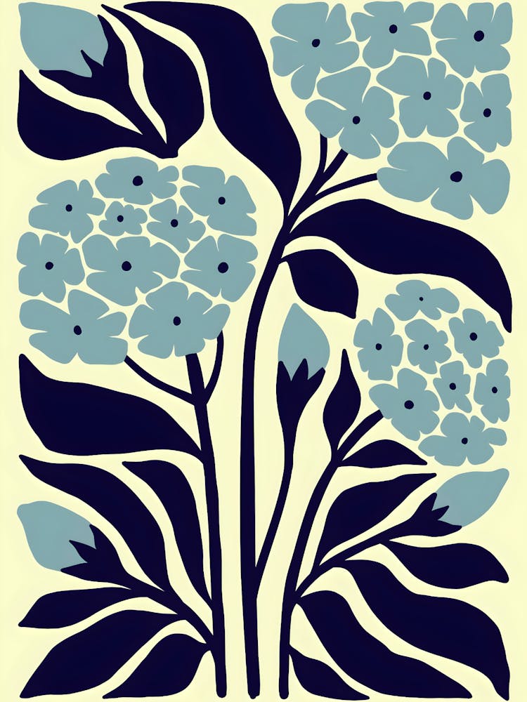 Hydrangea
