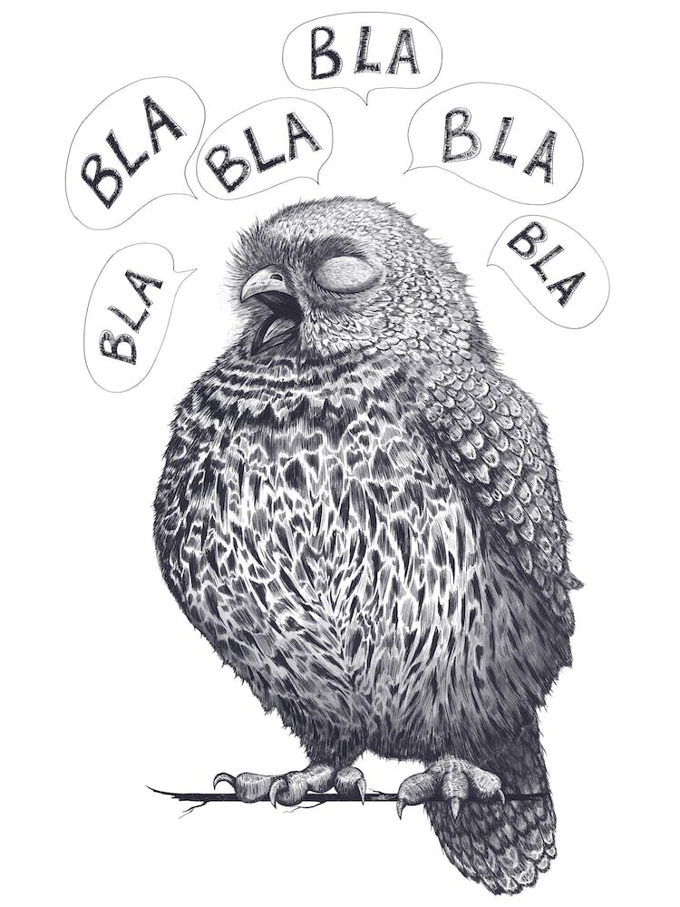 Owl Bla Bla Bla