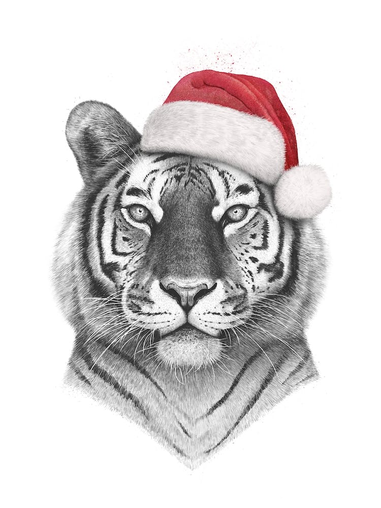 Christmas Tiger