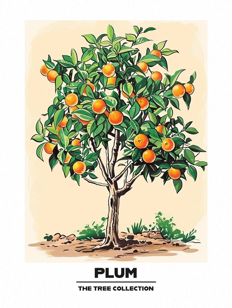 Plum Tree Storybook Illustration 1 Poster