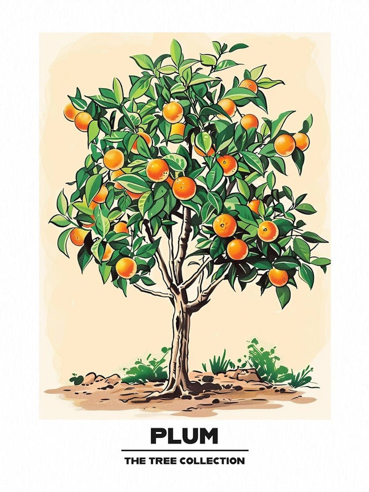 Plum Tree Storybook Illustration 1 Poster