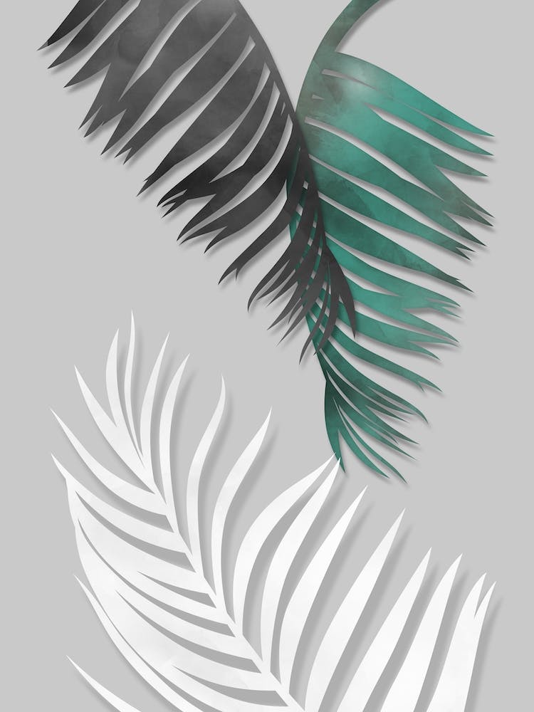 Palm Leaves