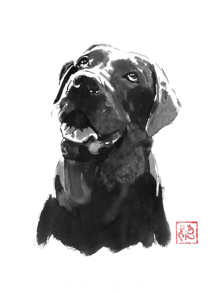 Gros Chien