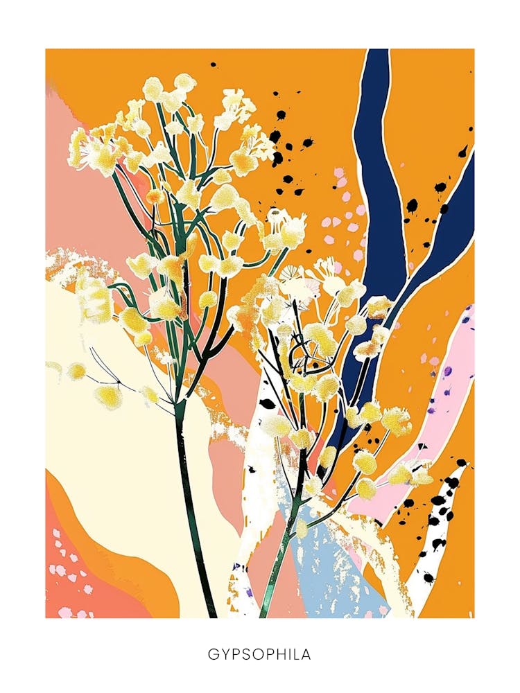 Colourful Flower Illustration Poster Gypsophila 1