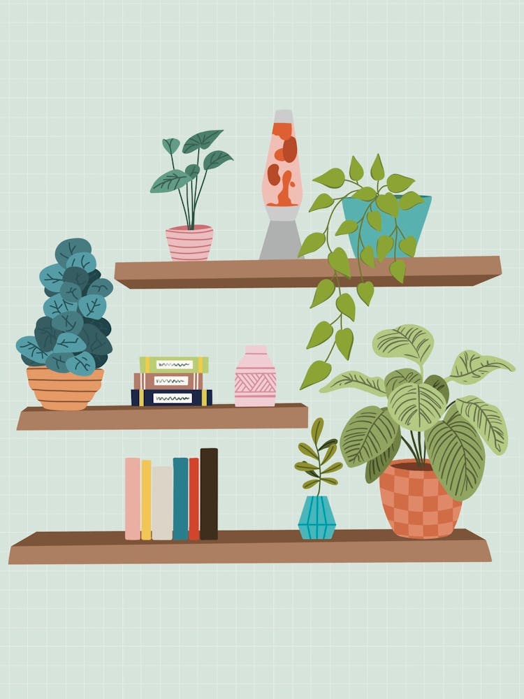 Plant Shelf