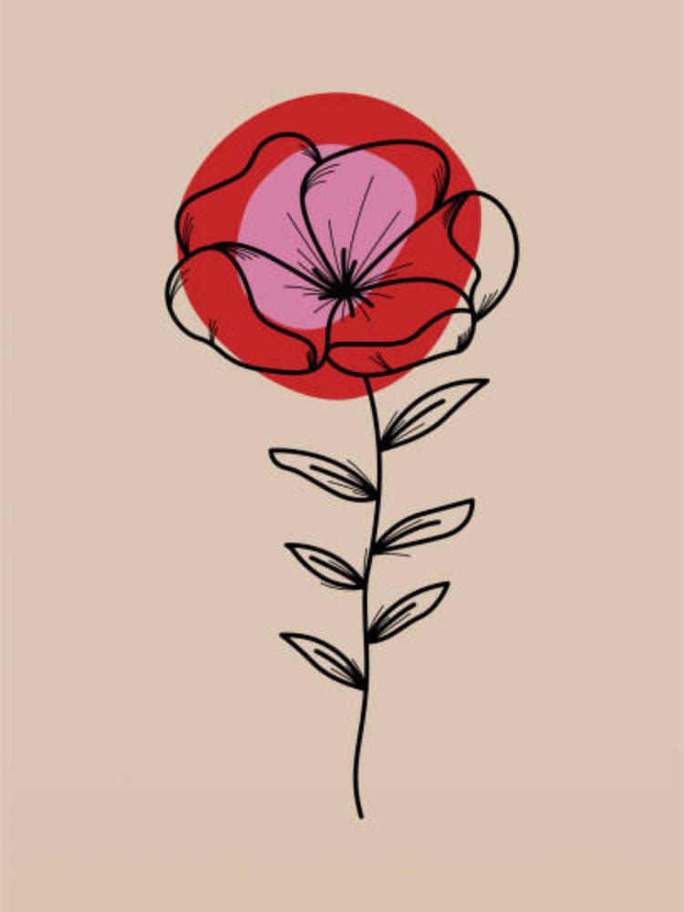 Flower Drawing