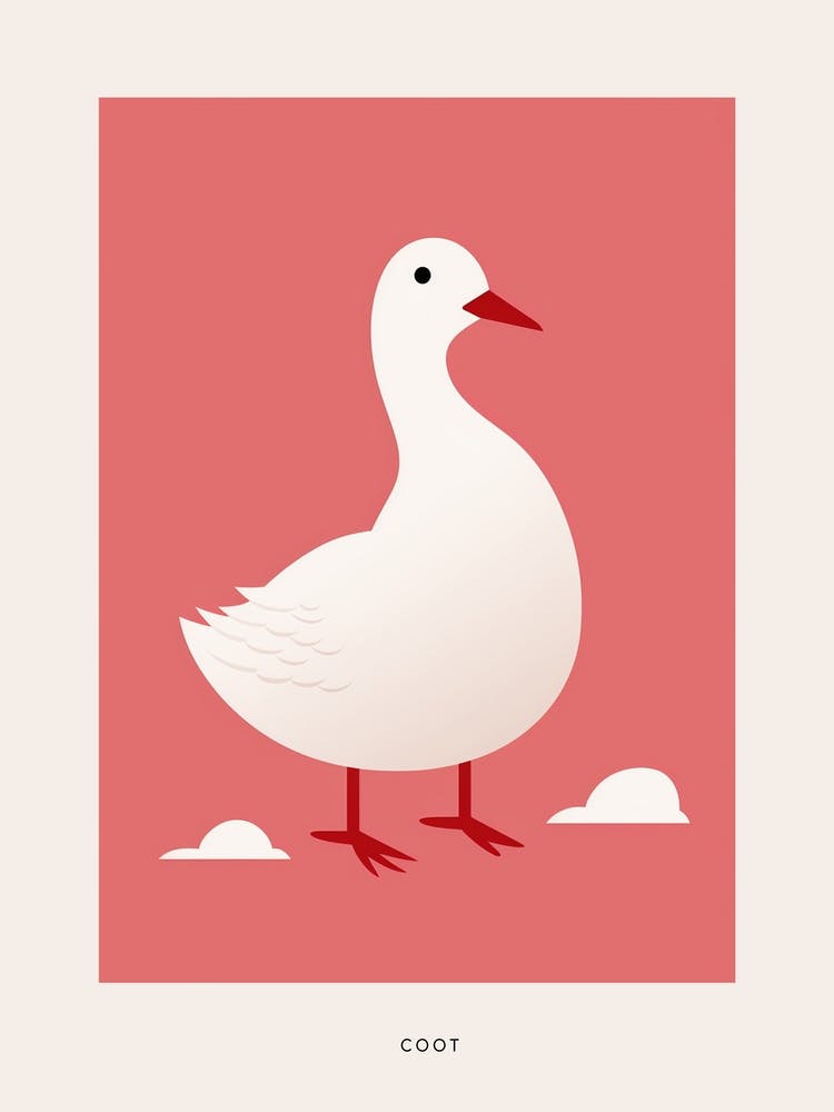 Minimalist Coot 2 Bird Poster