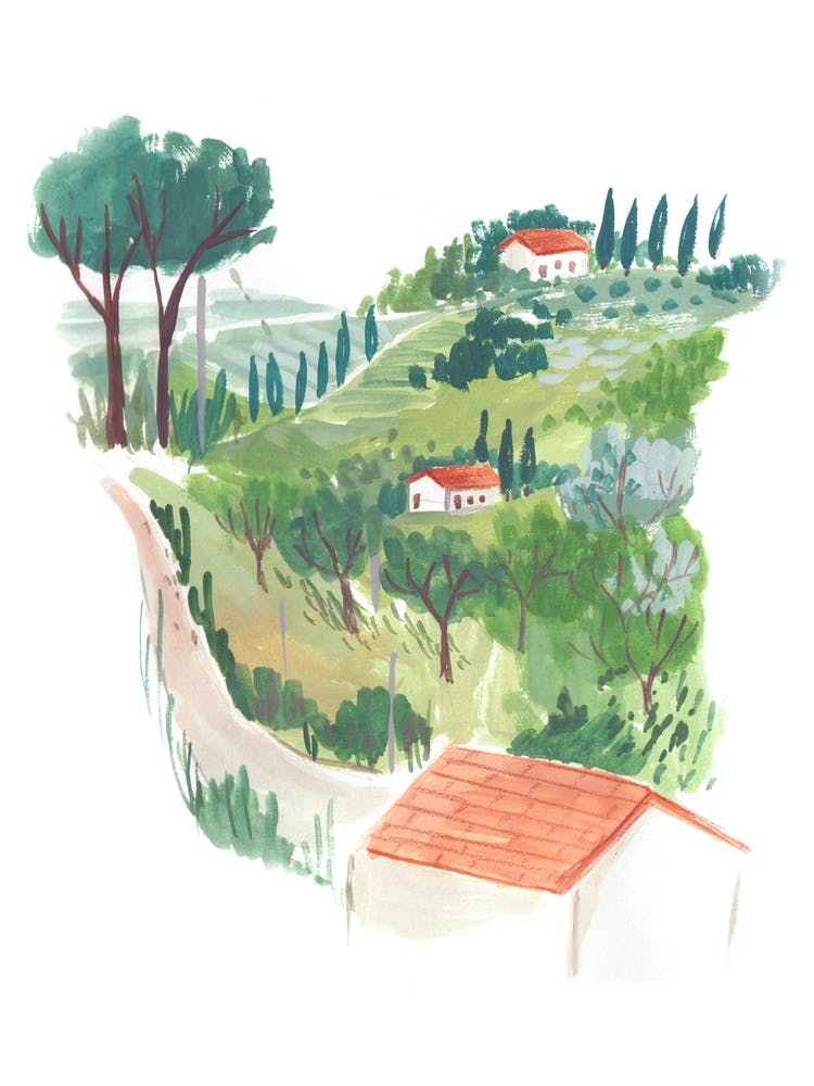 Tuscan Hills