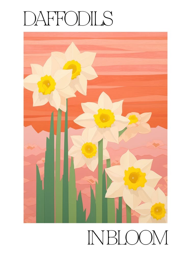 Daffodils In Bloom Flowers Bold Illustration 2